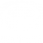 Palmiga Innovation Logo with text - palmiga.com white